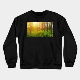 Green forest panorama and shining sun Crewneck Sweatshirt